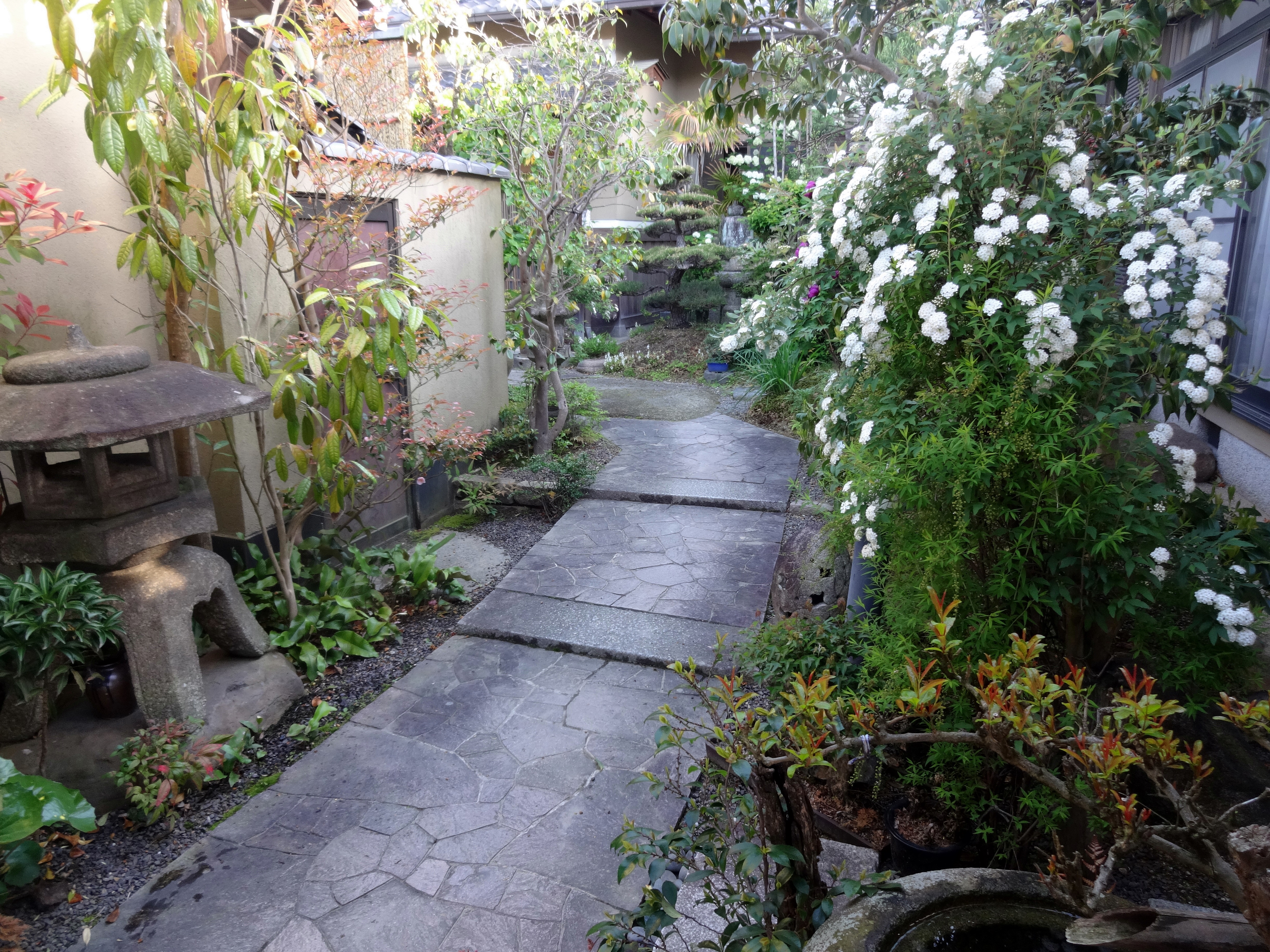 会社方針のイメージ画像